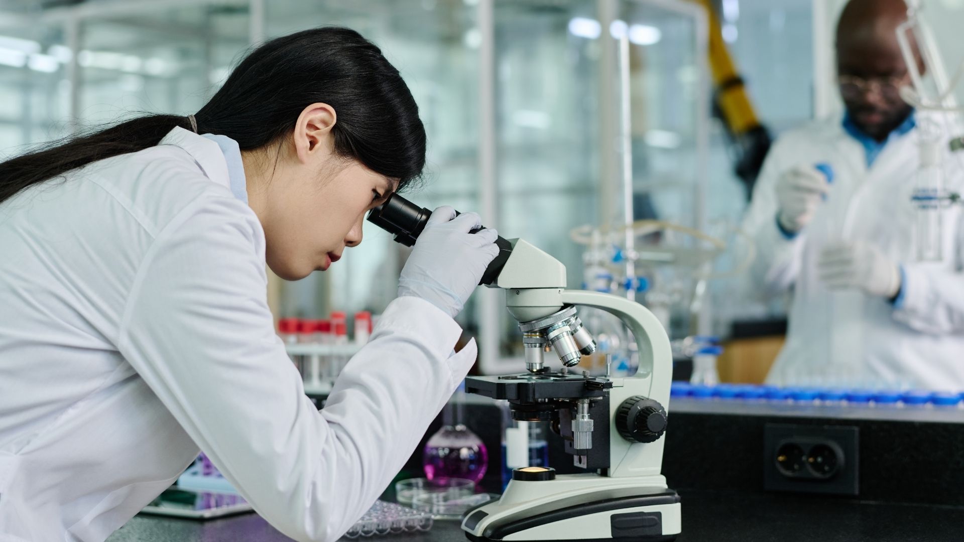 Sulforafán Prírodná molekula s výnimočným potenciálom pre ľudské zdravieac